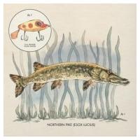 Nick Lowe ニックロウ / Lay It On Me (12インチシングルレコード)   〔12in〕 | HMV&BOOKS online Yahoo!店