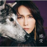 工藤静香 クドウシズカ / 「感受」Shizuka Kudo 35th Anniversary self-cover album  〔CD〕 | HMV&BOOKS online Yahoo!店