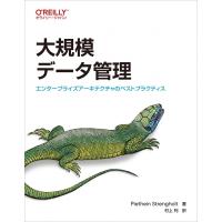 大規模データ管理 エンタープライズアーキテクチャのベストプラクティス / Piethein Strengholt  〔本〕 | HMV&BOOKS online Yahoo!店