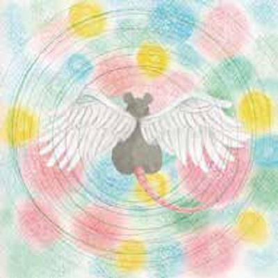 ANIMARU Mei Semones LP バブルガムバーストヴァイナル Mei Semones - 'Animaru' – Bayonet Records
