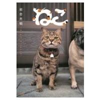ねこ / 岩合光昭  〔文庫〕 | HMV&BOOKS online Yahoo!店