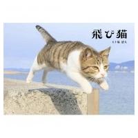 飛び猫 / 五十嵐健太  〔本〕 | HMV&BOOKS online Yahoo!店