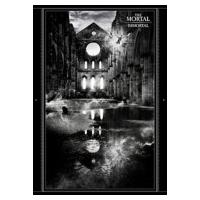 新品未開封 THE MORTAL/IMMORTAL〈初回生産限定盤〉DVD THE mortal（パッケージ種類：通常版）の商品一覧 通販 - Yahoo