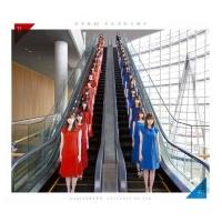 乃木坂46 / それぞれの椅子 (+DVD)【Type-A】  〔CD〕 | HMV&BOOKS online Yahoo!店