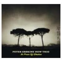 Peter Erskine ピーターアースキン / In Praise Of Shadows 輸入盤 〔CD〕 | HMV&BOOKS online Yahoo!店