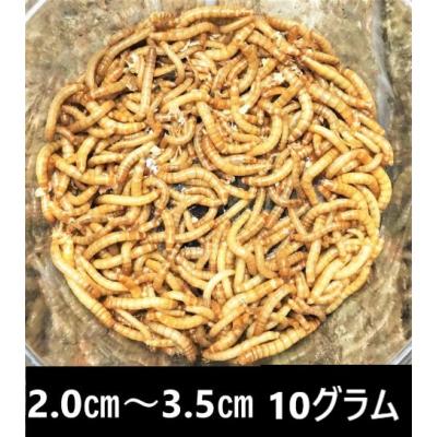 ミルワームのおすすめ人気商品一覧 通販 - Yahoo!ショッピング