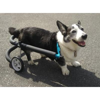 犬用車椅子 中型犬 柴犬 歩犬舎 ヤフーshop - 中型犬用車椅子｜Yahoo!ショッピング