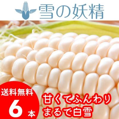 ギフト&グルメ北海道 - 8月頃〜|北海道産 とうもろこし|Yahoo ギフト&グルメ北海道 - 8月頃〜|北海道産 とうもろこし|Yahoo