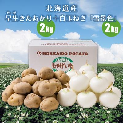 きたあかりのおすすめ人気商品一覧 通販 - Yahoo!ショッピング