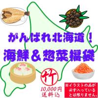 がんばれ北海道！海鮮＆惣菜福袋（竹：10,000円） 食品ロス フードロス