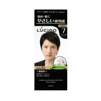 (あわせ買い1999円以上で送料お得)ルシード ワンプッシュケアカラー ナチュラルブラック | ホームライフ ヤフー店