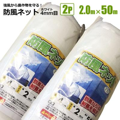 【在庫セール】シンセイ 防風ネット 4mm目 2m×50m 白 防風ネット 1本 シンセイ ブルー 4mm目 2m×50m