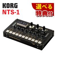 KORG コルグ NTS-1 シンセサイザー digital kit mkII 選べる特典セット（ラッピング不可） | ホームショッピング