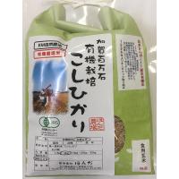 無農薬 お米 有機米 白米 2kg コシヒカリ 自然農法 令和5年産 石川県産 辻本さんの有機栽培米 | ほんだ農場ヤフー店
