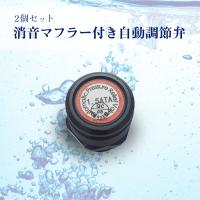 予約販売 酸素カプセル用 消音マフラー付き自動調節弁（2個セット） 騒音が気になる方向け | 本格屋 酸素濃縮器・カプセル・ディスポーザー