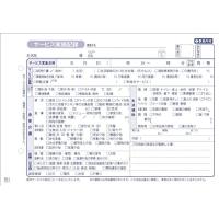 訪問介護伝票　訪問介護サービス実施記録　HK-1　2枚複写　50組×10冊 | ホンキーベンリー