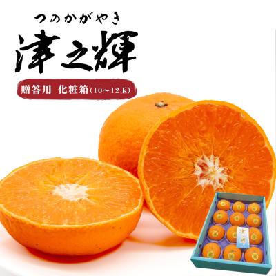 津之輝のおすすめ人気商品一覧 通販 - Yahoo!ショッピング