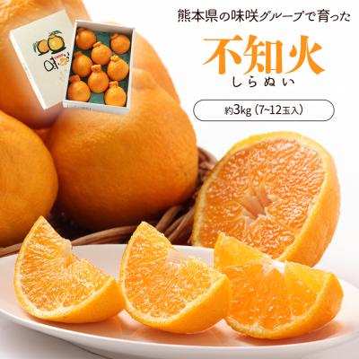 不知火のおすすめ人気商品一覧 通販 - Yahoo!ショッピング