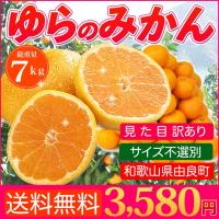 みかん 7kg 送料無料 訳あり 和歌山 ゆらのみかん 箱買いにおすすめ 温州みかん 家庭用  蜜柑 ミカン 訳アリ 