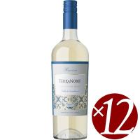 ソーヴィニヨンブラン　レセルバ/テラノブレ　750ml×12本　(白ワイン） | 酒本舗さけせん
