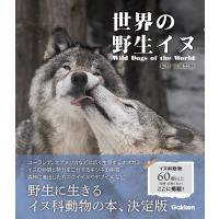 翌日発送・世界の野生イヌ/今泉忠明 | Honya Club.com Yahoo!店
