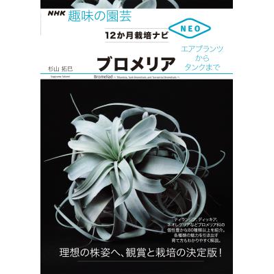 エアプランツ（本、雑誌、コミック）のおすすめ人気商品一覧 通販
