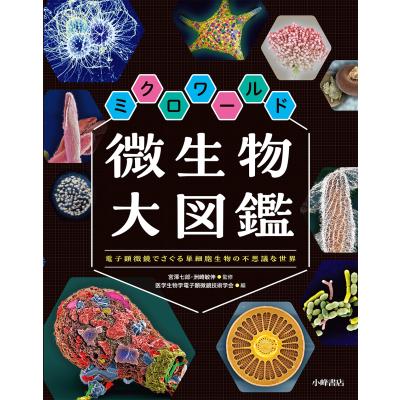 微生物図鑑（本、雑誌、コミック）のおすすめ人気商品一覧 通販
