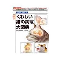翌日発送・最新くわしい猫の病気大図典/小方宗次 | Honya Club.com Yahoo!店