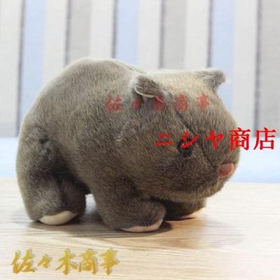 うぉんばっとさん ウォンバット ぬいぐるみのおすすめ人気商品一覧 通販 - Yahoo