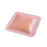 スミス＆ネフュー　ハイドロサイトジェントル銀　サイズ12.5cmx12.5cmパッド部10cmx10cm10枚入創傷被覆,保護材 66801382 | 堀江薬局 Yahoo!店