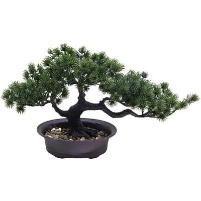 松のおすすめ人気商品一覧 通販 - Yahoo!ショッピング