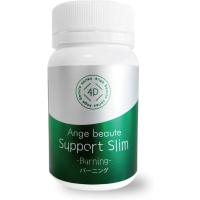 正規品株式会社ＡＸＩＳオンラインショップ バーニング180粒入 | スピード発送 ホリック