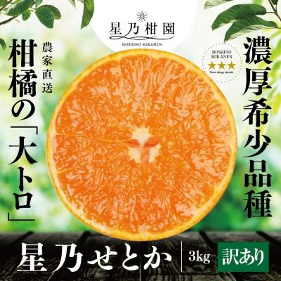 せとかのおすすめ人気商品一覧 通販 - Yahoo!ショッピング