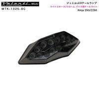 ジュエルLEDテールランプ ライトスモーク/クローム バイク用テールライト Ninja 250/Z250 ヴァレンティ/Valenti Moto MTK-1325-SC | ホットロードオートパーツYS