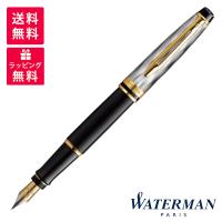 WATERMAN ウォーターマン Refections of Paris エキスパート デラックス リフレクション オブ パリGT 万年筆 2200866 | 高級筆記具のペンギャラリー報画堂