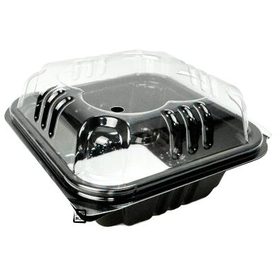 みにとまとさん専用 モリタ】トライオートmini - コンパクトコードレスエンドドン