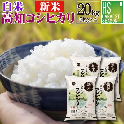 新米 令和8年高知県産コシヒカリ　白米　20キロ コシヒカリ 新米 令和8年産【こちらは白米です。無洗米ではありません