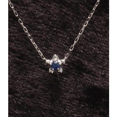 4℃ ネックレス（誕生石：9月 （サファイア））のおすすめ人気