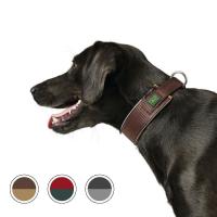 新品箱付 ポールスミス 人気マルチカラー ドッグカラー 首輪 Www Ziakkas Group Gr