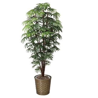 フェイクグリーン シュロチクのおすすめ人気商品一覧 通販 - Yahoo