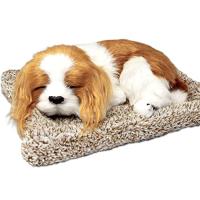 TATOTTE 犬のぬいぐるみ リアル 置物 寝顔が可愛いわんこ 活性炭入り 癒し インテリア(キャバリア) | ハイパーマーケット