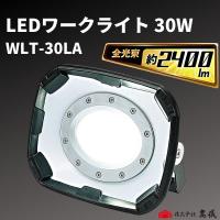 高儀 EARTH MAN LEDワークライト 30W WLT-30LiA【製品保証有り 