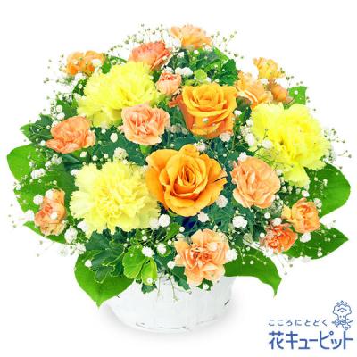 花キューピット - バラ特集｜Yahoo!ショッピング