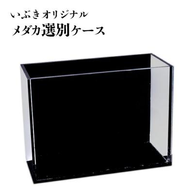 いぶき 指宿メダカとミジンコの販売店 - 飼育用品｜Yahoo!ショッピング