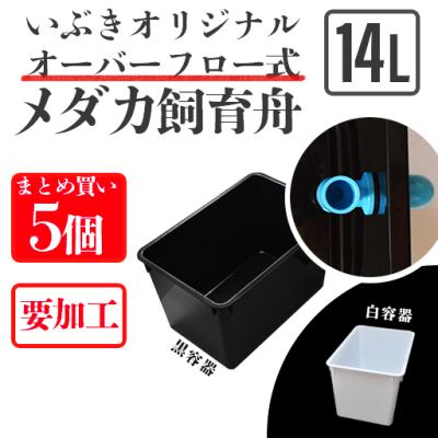 いぶき 指宿メダカとミジンコの販売店 - オリジナルメダカ舟