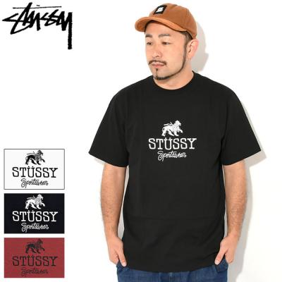 STUSSY メンズファッション(サイズ(S/M/L):3L(XXL))の STUSSY メンズファッション(サイズ(S/M/L):3L(XXL))の