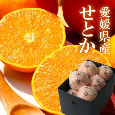せとか 愛媛の商品一覧 通販 - Yahoo!ショッピング せとか 愛媛の商品一覧 通販 - Yahoo!ショッピング