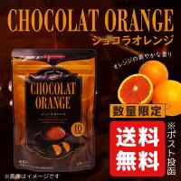インスタント ショコラ オレンジ 80g 送料無料 日本緑茶センター ティーブティック ココア チョコレート 