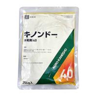 (ネコポス送料無料) アグロカネショウ:キノンドー水和剤40 250g 4966871301706 | イチネンネットプラス(インボイス対応)