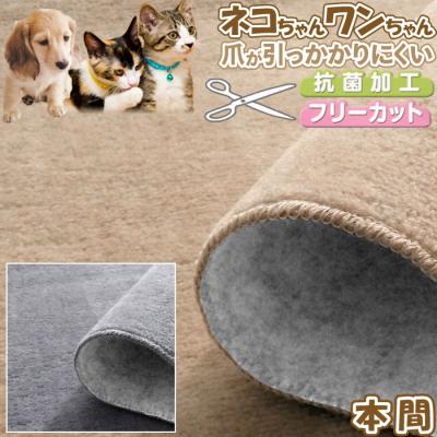 カーペット 本間6畳の商品一覧 通販 - Yahoo!ショッピング カーペット 本間6畳の商品一覧 通販 - Yahoo!ショッピング